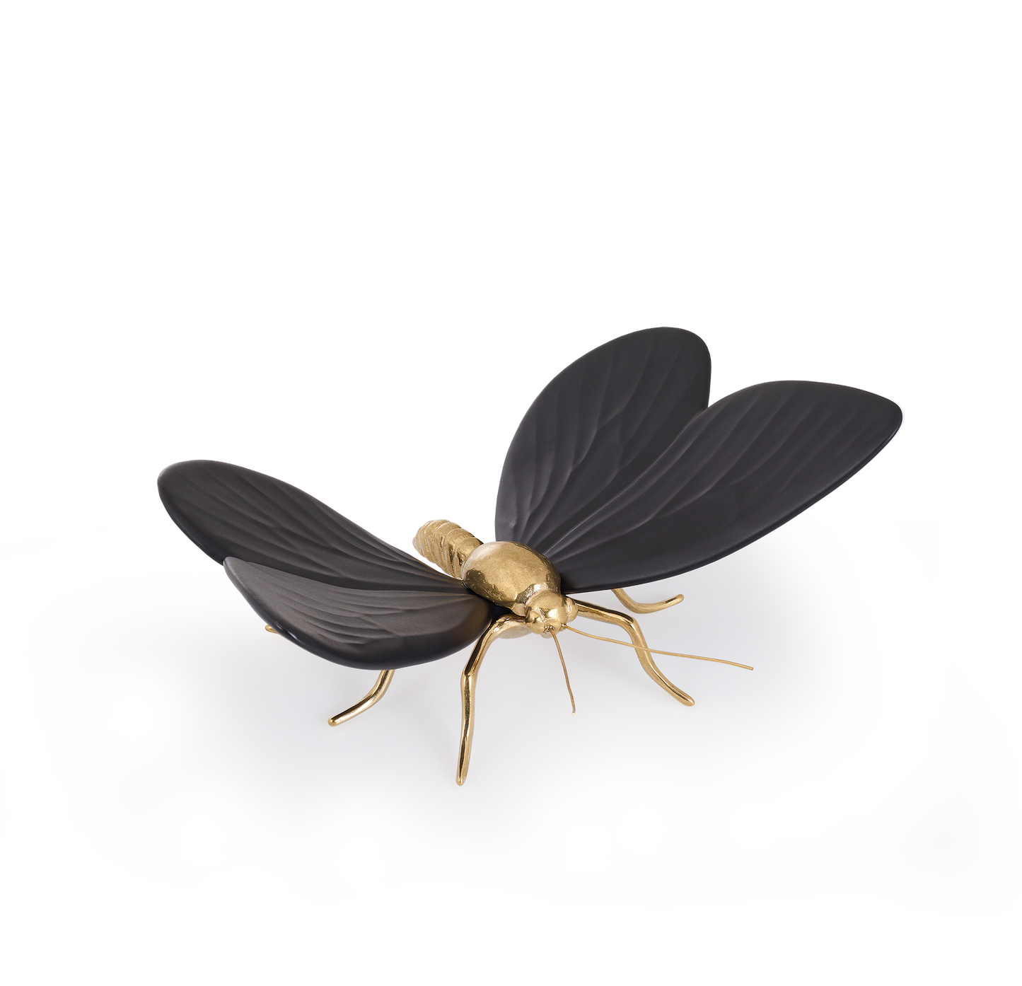 Borboleta