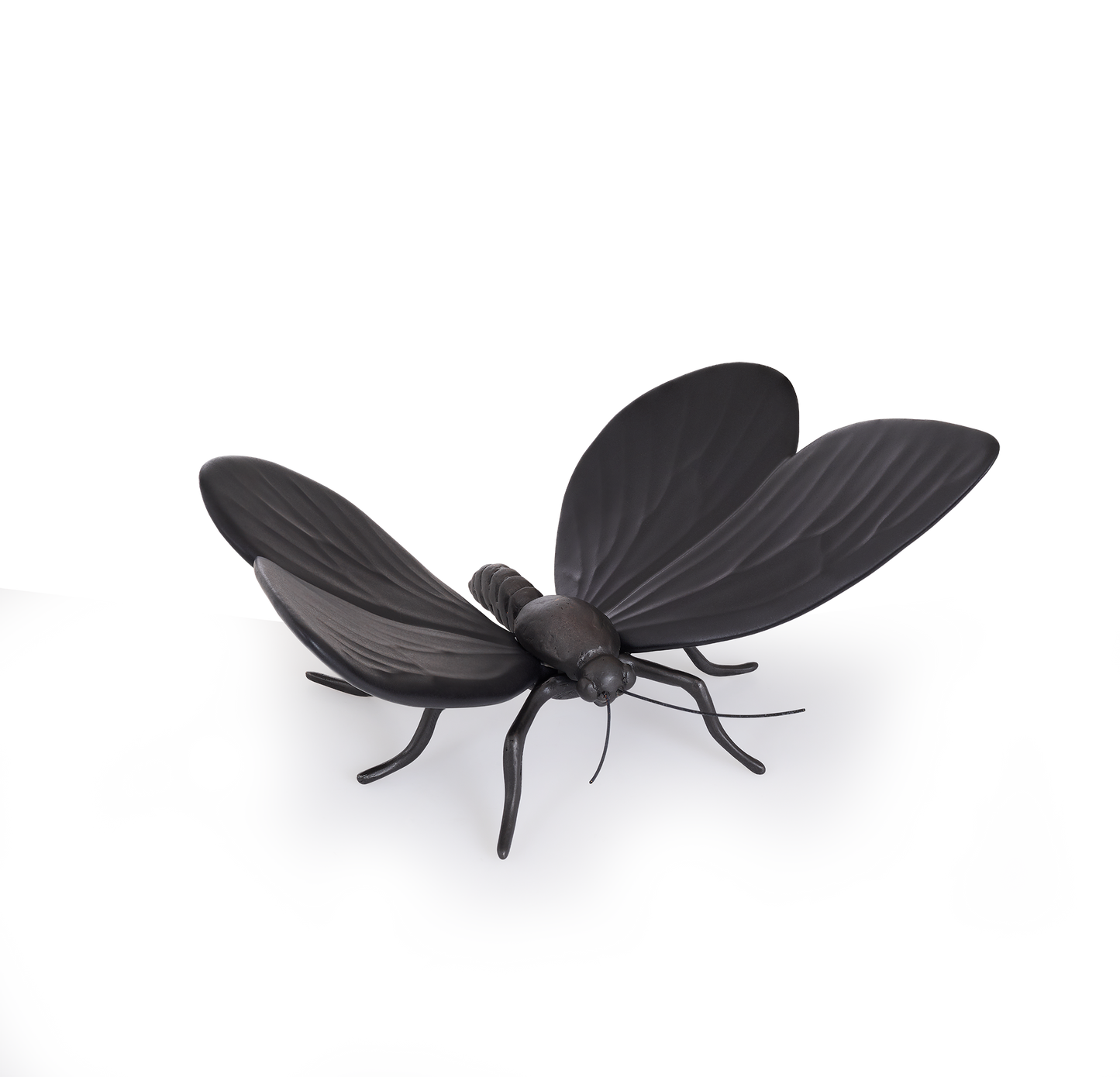 Borboleta