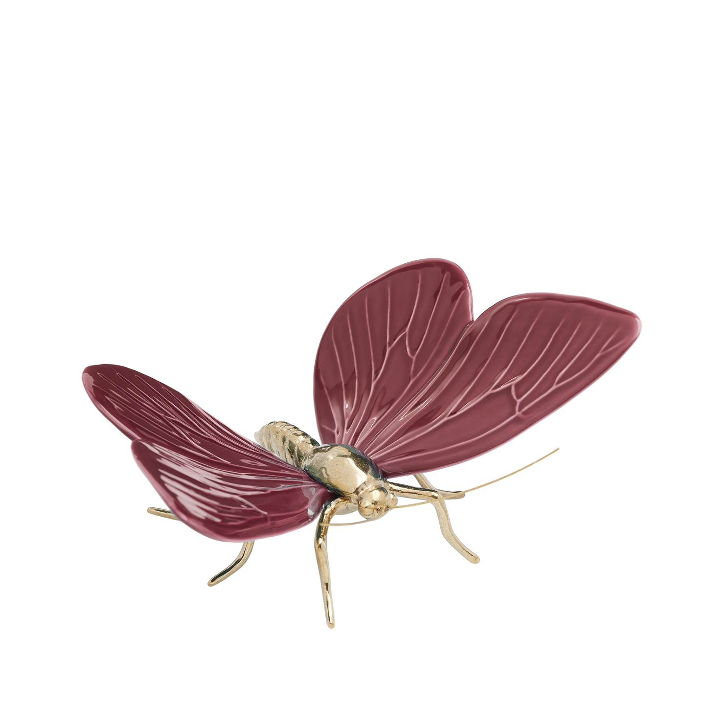 Borboleta