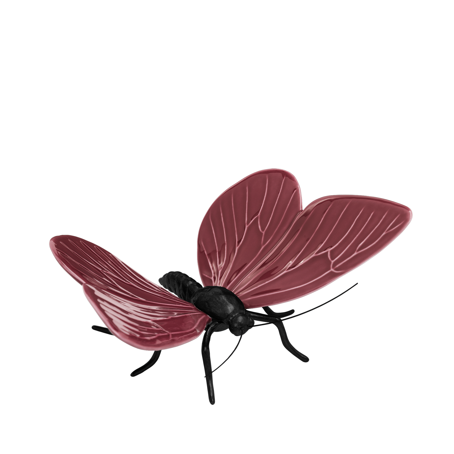 Borboleta
