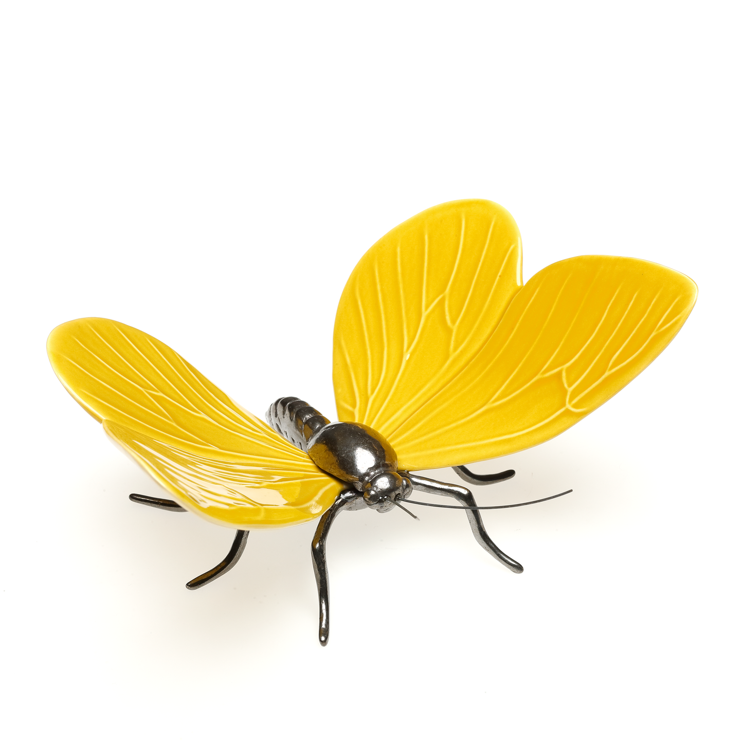 Borboleta