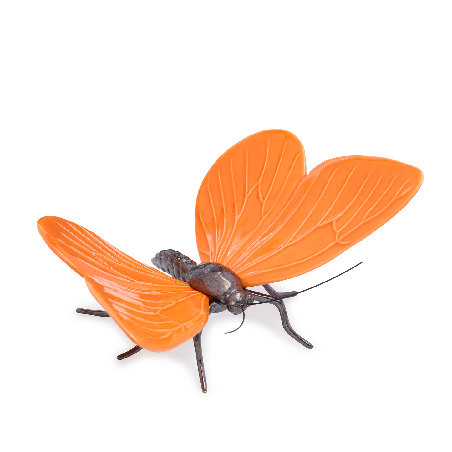 Borboleta