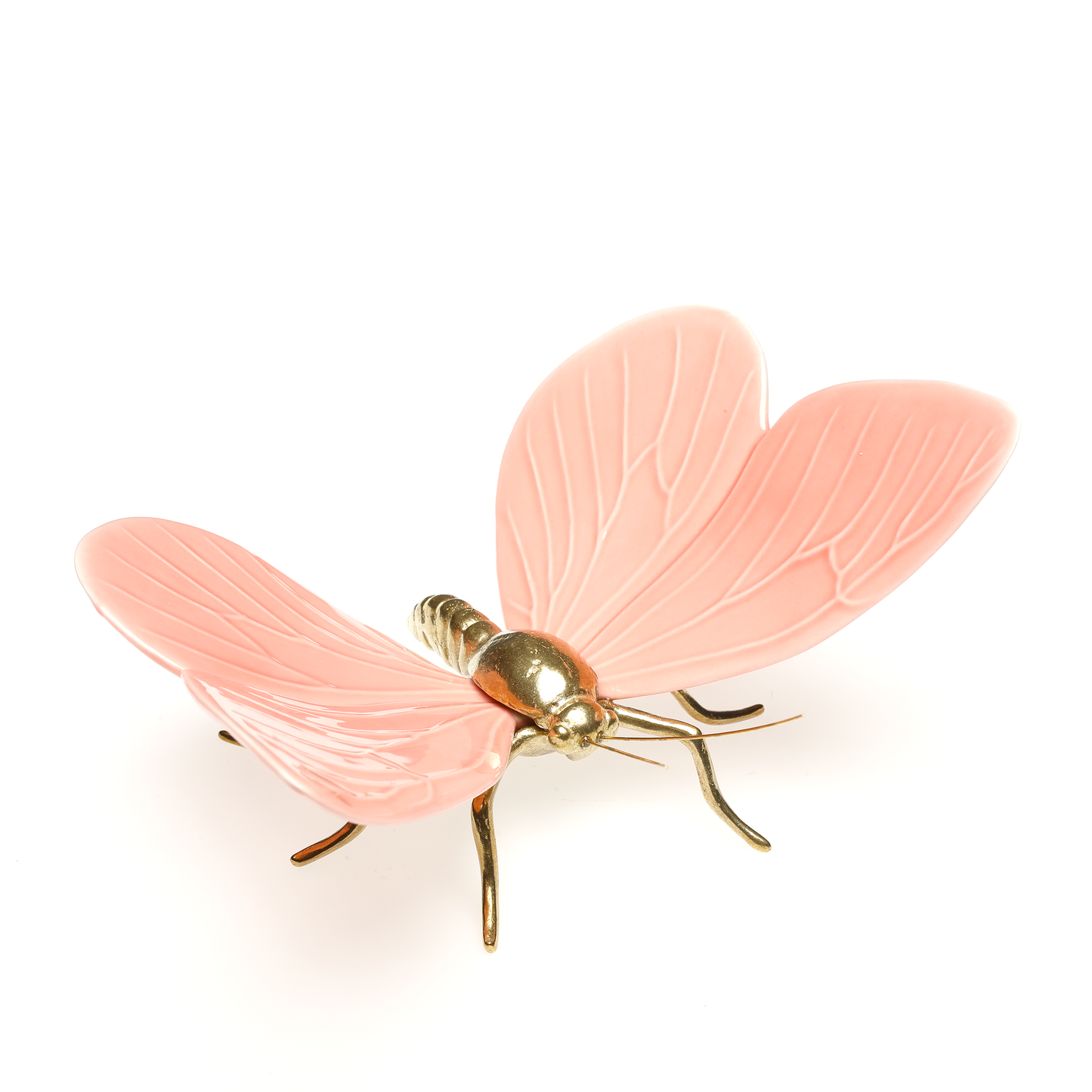 Borboleta