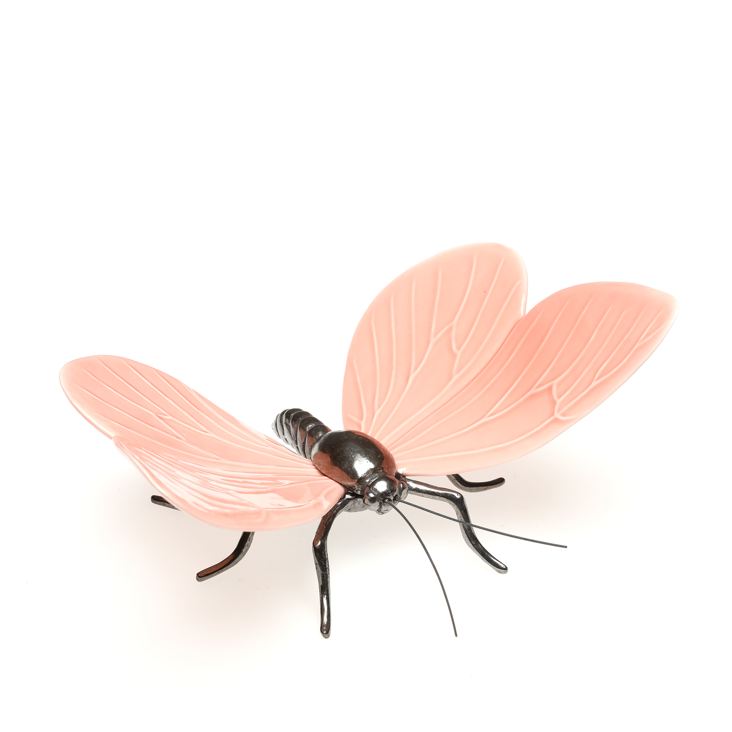 Borboleta