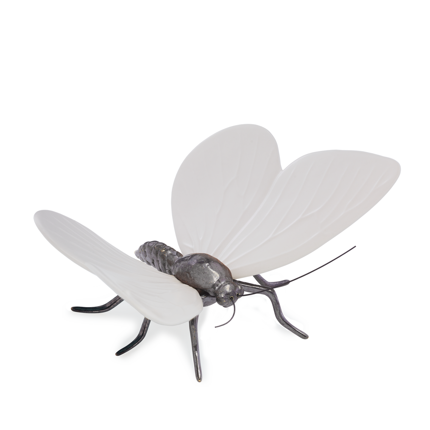 Borboleta